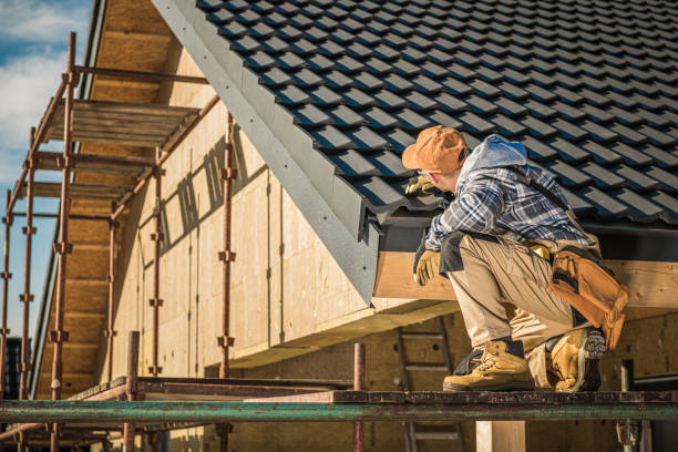 Best Roof Moss and Algae Removal  in Bentonville, AR